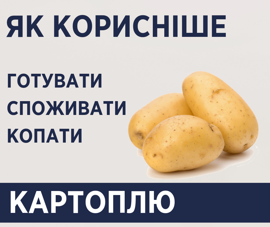 Що корисного є в картоплі?