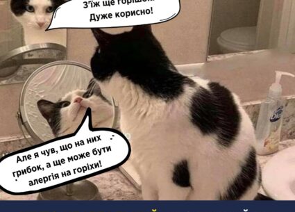 Про темний бік горіхів і як з ним впоратися