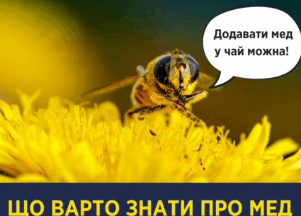 Що варто знати про мед