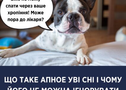 Що таке апное уві сні і чому його не можна ігнорувати