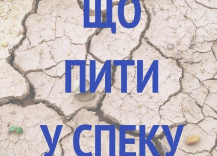 Що пити у спеку