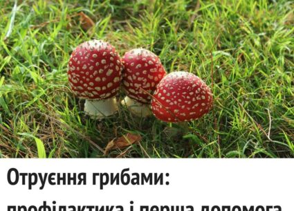 Перша допомога при отруєнні грибами