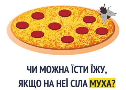 Чи можна їсти їжу, на яку сіла муха