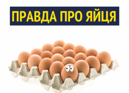 Вся правда про яйця