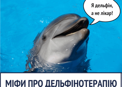 Що говорить наука про дельфінотерапію