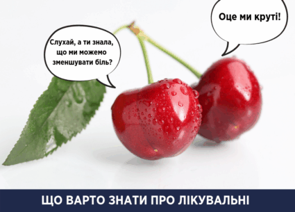 Про лікувальні властивості черешні та шовковиці