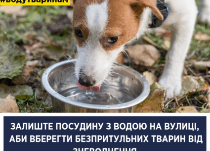 Допоможіть тваринам пережити спеку