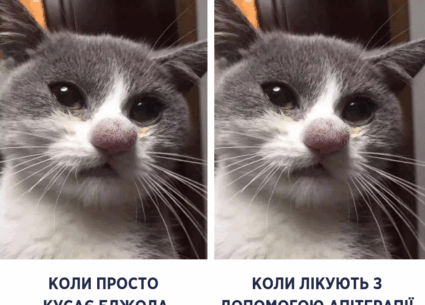 Що робити, якщо вас укусила бджола