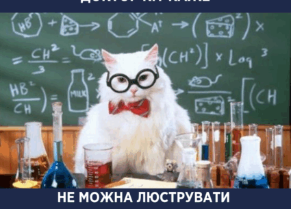 Про вишні та черешні