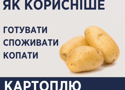 Як корисніше їсти та копати картоплю