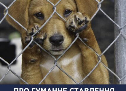 Про гуманне ставлення до тварин