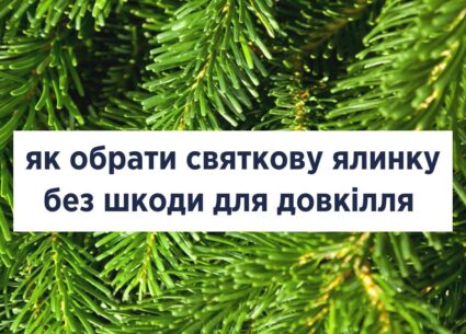 Як обрати святкову ялинку без шкоди для довкілля