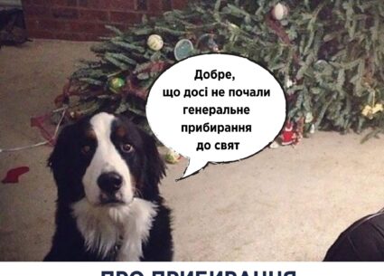 Про прибирання здорової людини