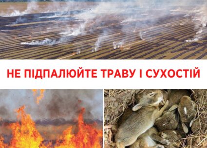 Не паліть траву і сухостій!