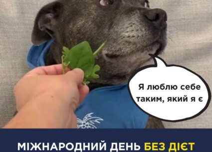 Міжнародний день без дієт