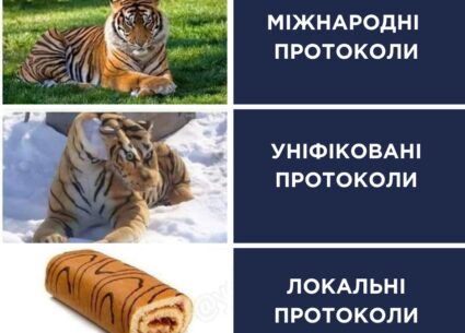 Про клінічні протоколи в Україні