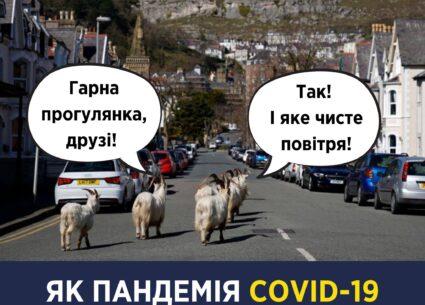 Як пандемія COVID-19 впливає на довкілля