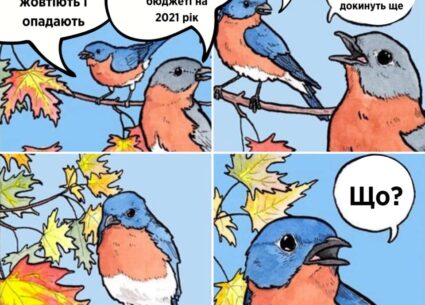 Про бюджет на медицину в 2021 році